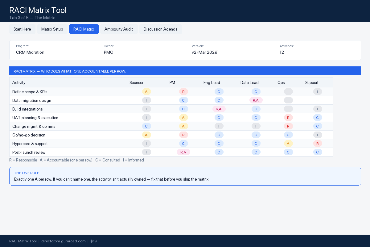 RACI matrix preview